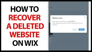 How to Recover a Deleted Website on Wix in 2024