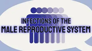 Infections of the Male Reproductive System - CRASH! Medical Review Series