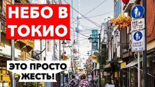 Why is the whole sky in wires in Japan? | Real Japan