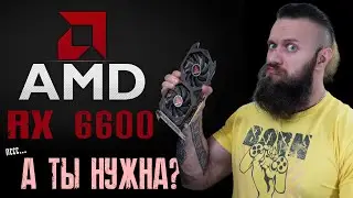 ДАЙТЕ МНЕ RX 6600. Обзор технических характеристик видеокарты AMD бюджетного сегмента (27 мегахешей)