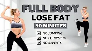 🔥30 Min Full Body Fat Burn HIIT (NO JUMPING)🔥Ab, Core, Arm, Back, Leg, Thigh & Cardio🔥ALL STANDING🔥