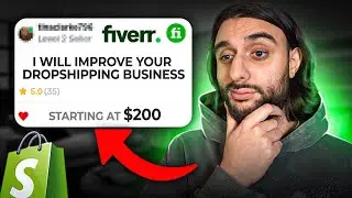 I PAID FIVERR EXPERTS To Run My WHOLE Dropshipping Business In 2023