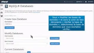 cPanel : comment vérifier si une base de données MySQL contient des erreurs