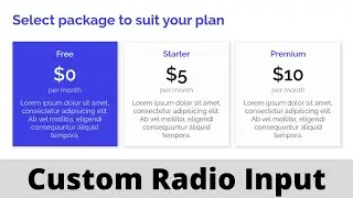 How to Create Custom Radio Input using HTML & CSS | Card Input