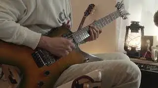 Did I picked the wrong guitar for this cover? (Dime Slime Washburn)