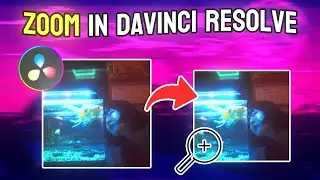 How to Zoom in DaVinci Resolve (In and Out)