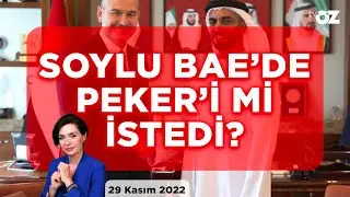 SOYLU BAE’DE ! PEKER’İ Mİ İSTEDİ ?