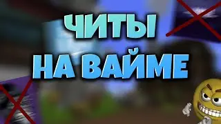 ЧИТЫ НА VIMEWORLD  - П%РАША