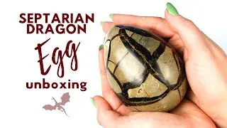 SEPTARIAN DRAGON EGG | What the heck is it? ...Fossil? ...Crystal?!?