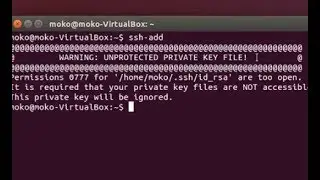 ssh problem (ssh-add) - Permissions 0777 for ' ssh id_rsa' are too open.
