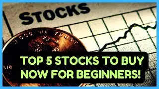 Top 5 Beginner Stocks to Buy Now! | Best Stocks for New Investors