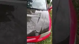 люблю я водить машину, хонда аккорд Honda | katya.korolev