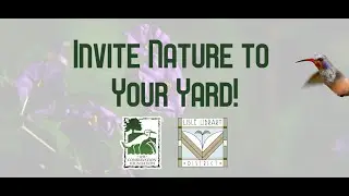 Invite Nature To Your Yard