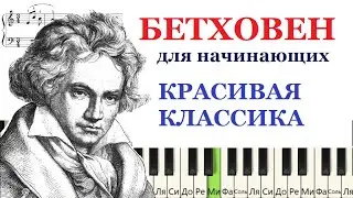 🎹 Как играть Бетховена Соната 17 (КРАСИВАЯ и ПРОСТАЯ версия для начинающих)