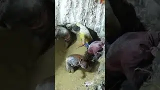 bu biberi yiyebilir misin?