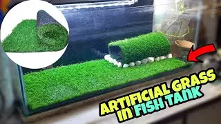 Fish Tank Decoration Ideas (with Artificial Grass) Fish Tank Setup