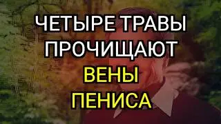 ЭТИ 4 ТРАВЫ улучшают кровообращение и интимную близость после 60 | Жизненные уроки от пожилых