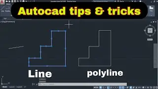 Difference b/w Line & Polyline autocad 2d