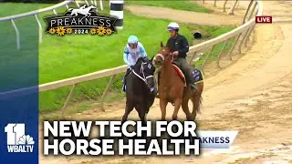 New technology helps to keep horses healthy