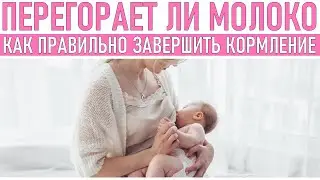 КАК ОТУЧИТЬ ОТ ГРУДИ ПРАВИЛЬНО | Завершение грудного вскармливания Перегорание молока