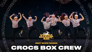 VOLGA CHAMP XIII |BEST SHOW BABIES | CROCS BOX CREW