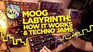 Moog Labyrinth: Explained & Generative Techno Jams