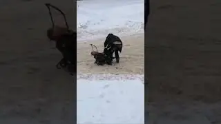 Друг в беде не бросит.☺️