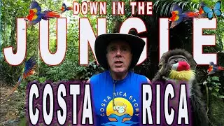 Down in The Jungle Music Video Costa Rica