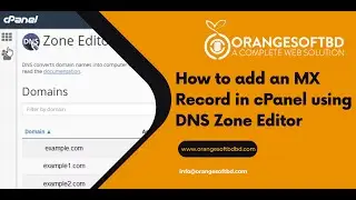 How to add an MX Record in cPanel using DNS Zone Editor with Orange Soft BD