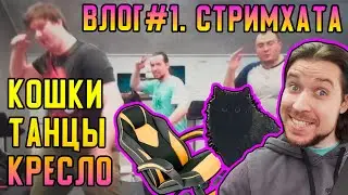 Влог #1 | Стримхатун 2 | Азувокс, Дантист, кресло, киски, танцы