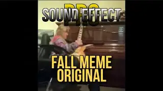 164 | Fall Meme |  Free Meme Video With Sound Effect For Vlog | No Copyright Meme Video Sound