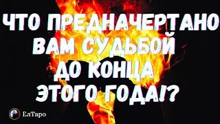 ГАДАНИЕ ТАРО ОНЛАЙН. ТАРО ДЛЯ МУЖЧИН. ВАМ ЭТО ПРЕДНАЧЕРТАНО! КАКАЯ НОВОСТЬ НА ПОРОГЕ?