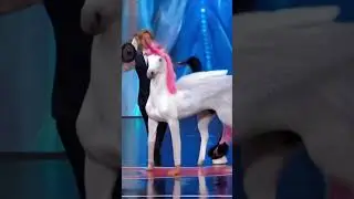 America's Got Talent Unicorn / Horse 🦄 Magic😱😨 | Duo Schumacher #AGT #americagottalent #magic