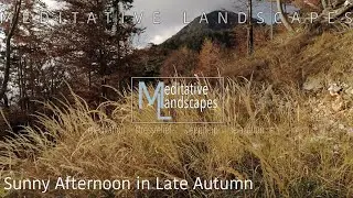 Meditative Landscapes: Late Autumn | Wind sounds, Wind through grass, Meditation, White Noise