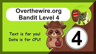 Overthewire - Bandit - Level 4 - Linux File Command