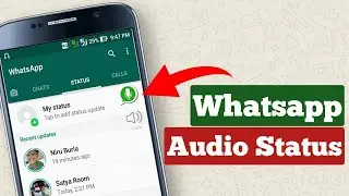 How to Post Voice Notes on WhatsApp Status