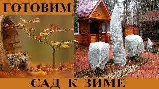 ГОТОВИМ САД К ЗИМЕ