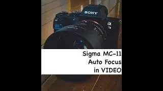 Sigma MC-11 Video Auto Focus Review | Sony a7ii