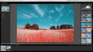 How to Install Lightroom Profiles