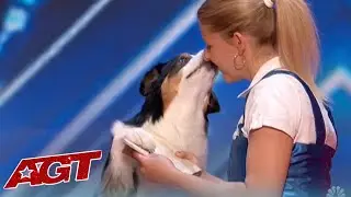 The Glamour Aussies Dancing Dog Act Will Have You In Your Feels! 🥰