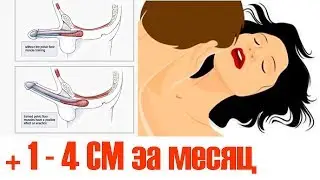 Сделай член толще - упражнение эрекционные сгибания