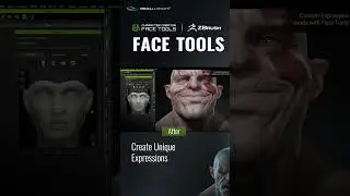 (New Release) Reallusion Face Tools for ZBrush & Character Creator