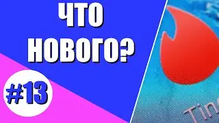 В Койку и Точка! Tinder ухоит, VK приходит! || Что нового #13