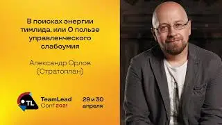 В поисках энергии тимлида, или О пользе управленческого слабоумия / Александр Орлов (Стратоплан)