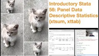 Introductory Stata 56: Panel Data Descriptive Statistics (xtdescribe, xtsum, xttab)