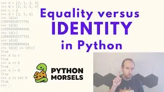 Equality versus identity in Python