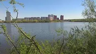 Израиль, Палестины. Азербайджанец.
