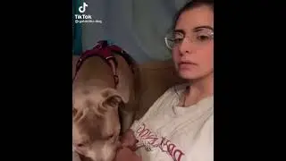 Когда умеешь разговаривать на собачьем