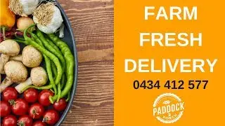 FRESH FOOD DELIVERY Bilinga