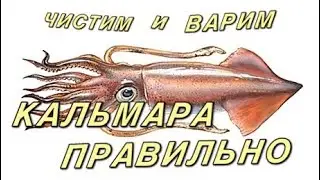 Кальмар чистим и варим правильно / how to clean and cook squid properly